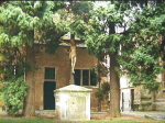 038leu196371