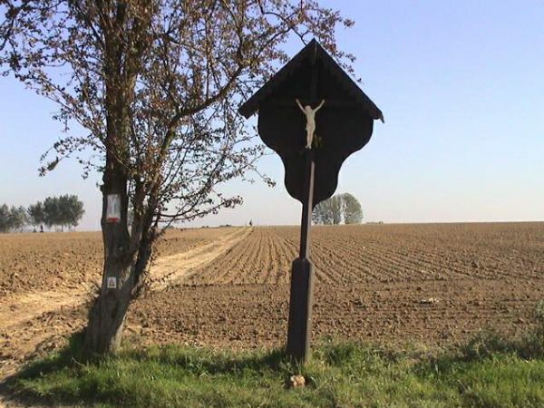 058zot549335