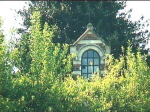 080leu219359