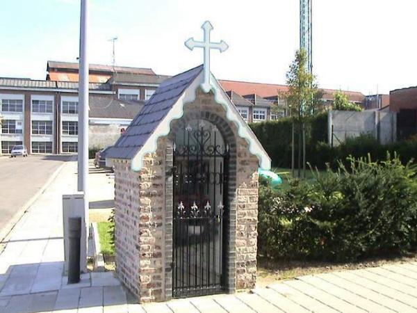 090zwe238294