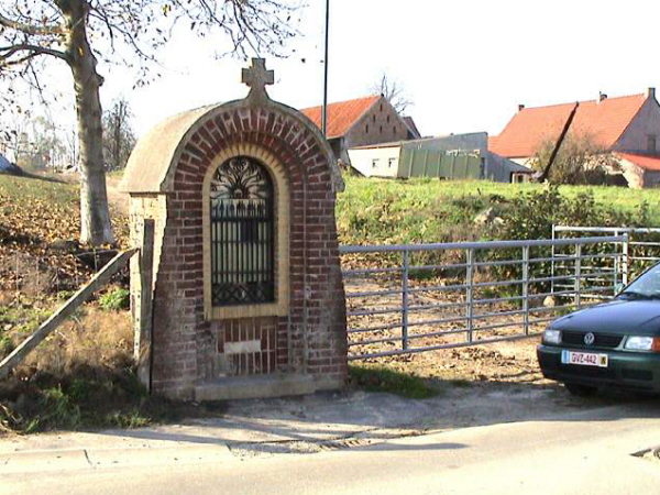 096zot569331