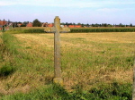 100zwe232283