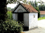 105zwe245266