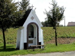 111zwe258264