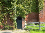 113zwe257260