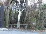 115zot594341