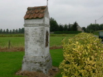 116dik952544