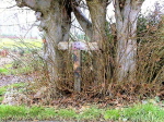 118zot587345