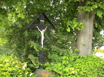 141nin679302