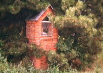 19tes509607