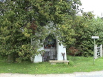 53har219384